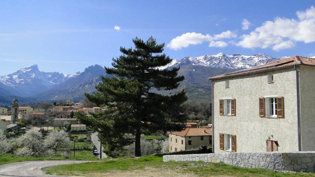 Casa Vanella Bed & Breakfast Casamaccioli Exterior photo