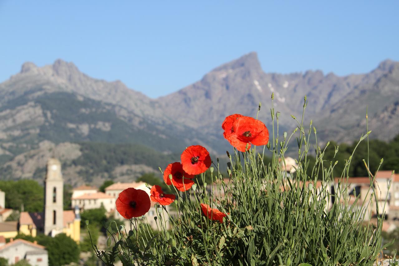 Casa Vanella Bed & Breakfast Casamaccioli Exterior photo